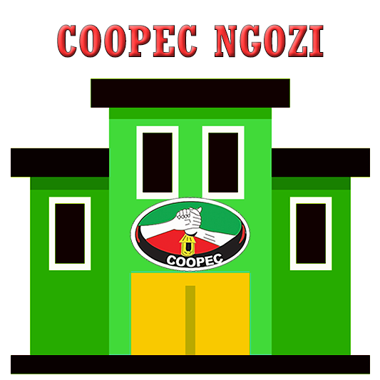 PROVINCE NGOZI